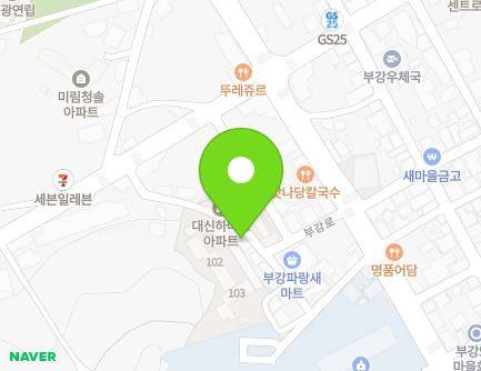 세종특별자치시 부강면 부강로 29-11 (대신하나로아파트) 지도