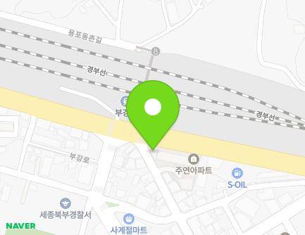 세종특별자치시 부강면 청연로 83 (주연아파트) 지도