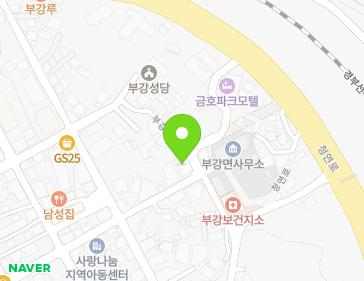 세종특별자치시 부강면 부강5길 35-1 지도