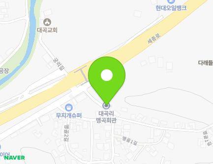 세종특별자치시 소정면 맹골1길 13-4 (대곡2리마을회관) 지도