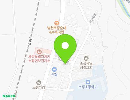 세종특별자치시 소정면 학교말길 17-3 (소정면119지역대) 지도