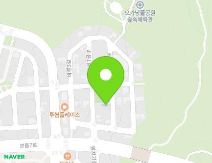 세종특별자치시 바른2길 5 (아름동, 단독주택) 지도