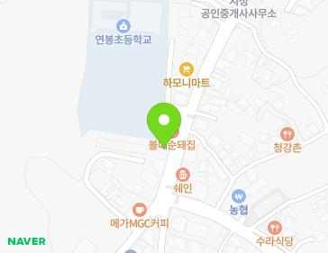 세종특별자치시 연서면 당산로 353 지도