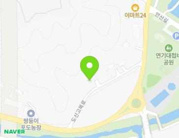 세종특별자치시 연서면 도신고복로 579-10 지도