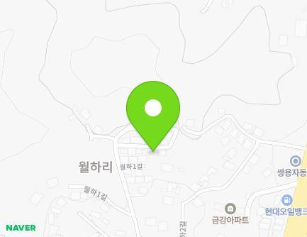 세종특별자치시 연서면 월하1길 48 (성은주택) 지도