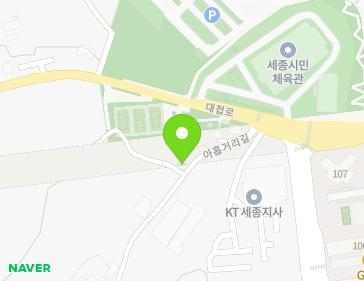 세종특별자치시 연서면 아홉거리길 89 지도