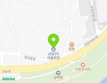 세종특별자치시 장군면 정자말길 6 (금암2리마을회관) 지도