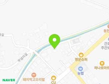 세종특별자치시 장군면 참시렁골길 12-6 (진빌라) 지도