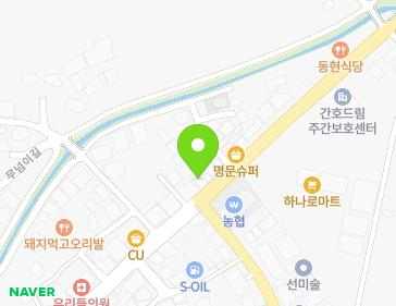 세종특별자치시 장군면 장척로 415 지도