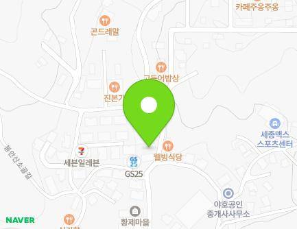 세종특별자치시 장군면 월현윗길 29-1 (행복마을나동) 지도