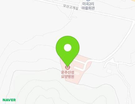 세종특별자치시 전동면 모산고개길 96-25 (운주산성요양병원) 지도