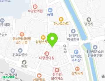 세종특별자치시 전의면 운주산로 1191 지도