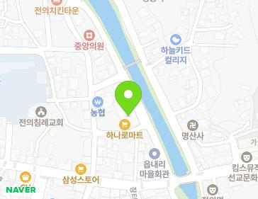 세종특별자치시 전의면 읍내길 10 지도