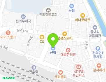 세종특별자치시 전의면 만세길 5 지도