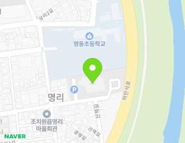 세종특별자치시 조치원읍 새내8길 115 (세종국민체육센터) 지도