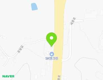 세종특별자치시 조치원읍 세종로 2167 지도