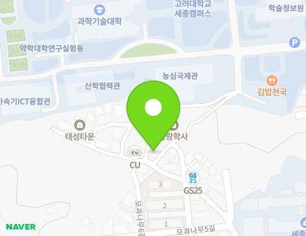 세종특별자치시 조치원읍 모과나무2길 2 (늘푸른빌리지) 지도