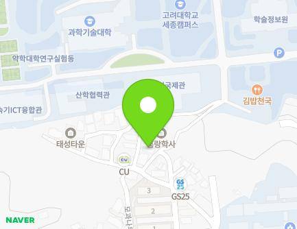 세종특별자치시 조치원읍 모과나무2길 2-1 (늘푸른빌리지) 지도