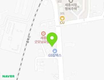 세종특별자치시 조치원읍 새내로 201 지도