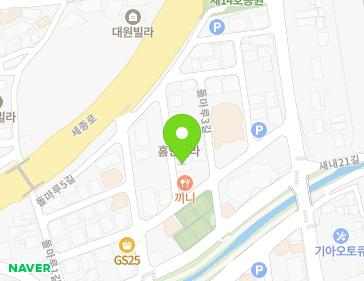 세종특별자치시 조치원읍 돌마루6길 6 지도