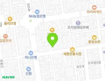 세종특별자치시 조치원읍 새내10길 13 지도