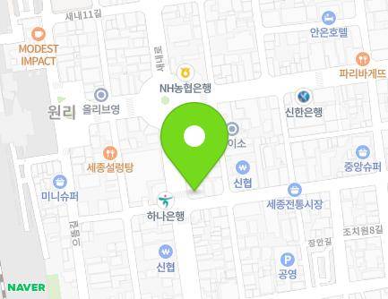 세종특별자치시 조치원읍 새내로 96 지도