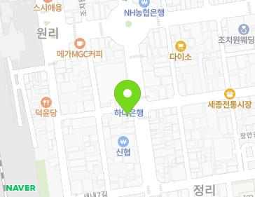 세종특별자치시 조치원읍 새내9길 3 지도