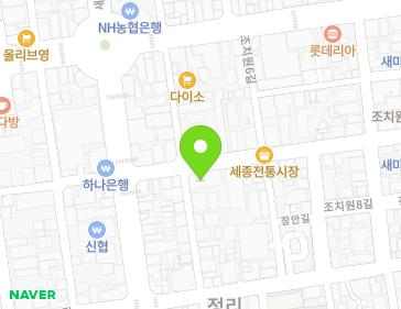 세종특별자치시 조치원읍 새내10길 12 지도