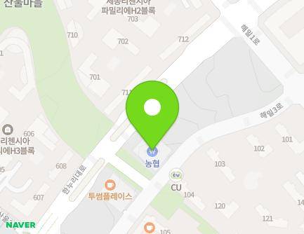 세종특별자치시 해밀3로 51 (해밀동, 스카이허브) 지도