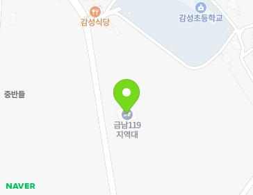 세종특별자치시 금남면 안금로 554 (금남119지역대) 지도