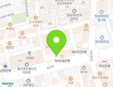 울산광역시 남구 삼산로 245 (달동) 지도