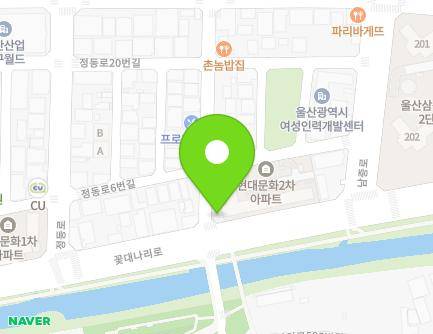 울산광역시 남구 정동로6번길 16-1 (삼산동, 문화예능나라어린이집) 지도