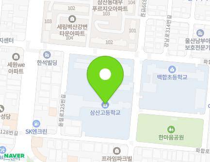 울산광역시 남구 돋질로339번길 13 (삼산동, 삼산고등학교) 지도