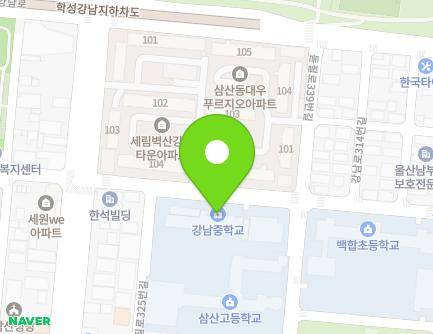 울산광역시 남구 돋질로325번길 14 (삼산동, 울산강남중학교) 지도