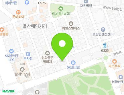 울산광역시 남구 번영로234번길 12 (삼산동, 중화한의원) 지도