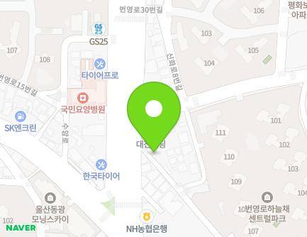 울산광역시 남구 여천로5번길 54 (야음동, 푸른유료주차장) 지도