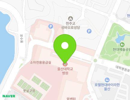 울산광역시 동구 대학병원로 25 (전하동, 울산대학교병원) 지도