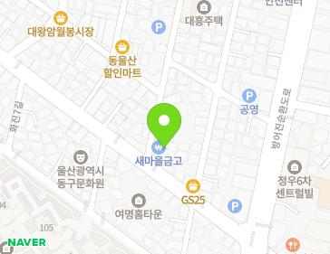 울산광역시 동구 화정5길 4 (화정동, 일산새마을금고) 지도