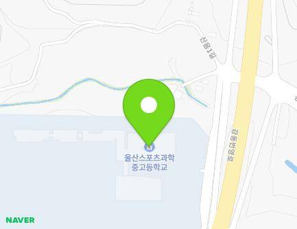 울산광역시 북구 산음3길 16 (산하동, 울산스포츠과학중고등학교) 지도