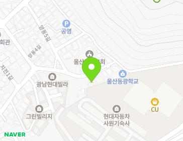 울산광역시 북구 치전1길 38 (양정동, 미주주택) 지도