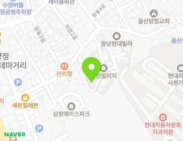 울산광역시 북구 치전1길 24-8 (양정동, 그린빌리지) 지도