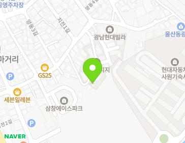 울산광역시 북구 치전1길 24-11 (양정동, 그린빌리지) 지도