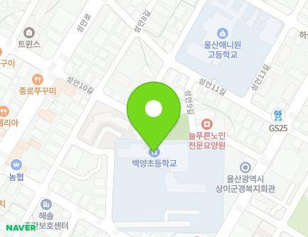 울산광역시 중구 성안8길 10-5 (성안동, 백양초등학교) 지도