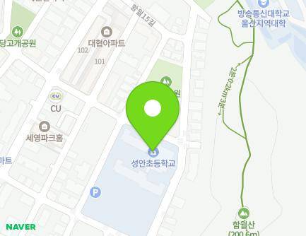 울산광역시 중구 함월14길 19 (성안동, 성안초등학교) 지도