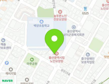 울산광역시 중구 백양로 147 (성안동, 울산광역시시립노인요양원) 지도