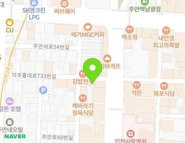 인천광역시 미추홀구 미추홀대로733번길 5 (주안동, 산호장여관) 지도