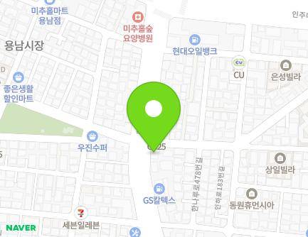 인천광역시 미추홀구 한나루로490번길 2 (주안동, 신성당약국) 지도