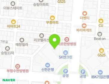 인천광역시 부평구 장제로 151 (부평동) 인천광역시 부평구 장제로 151 (부평동) 지도