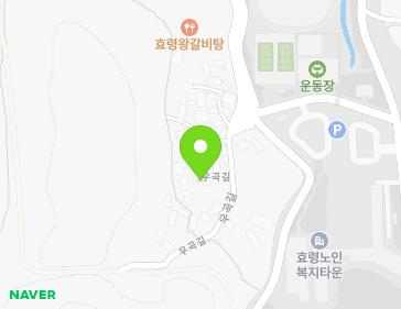 전남광주통합특별시 북구 우곡길 46-5 (효령동) 전남광주통합특별시 북구 우곡길 46-5 (효령동) 지도