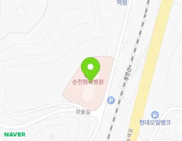 전남광주통합특별시 순천시 양율길 180 (대룡동, 평화병원) 전남광주통합특별시 순천시 양율길 180 (대룡동, 평화병원) 지도